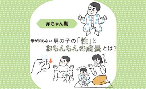 男の子皮むく時期 2歳|【花王 メリーズ】赤ちゃんは何歳までなら「包茎」を心配しな。